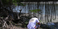 Ilha do Guajirú - The ecological paradise!